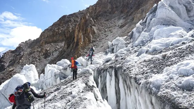 साउथ आर्गन