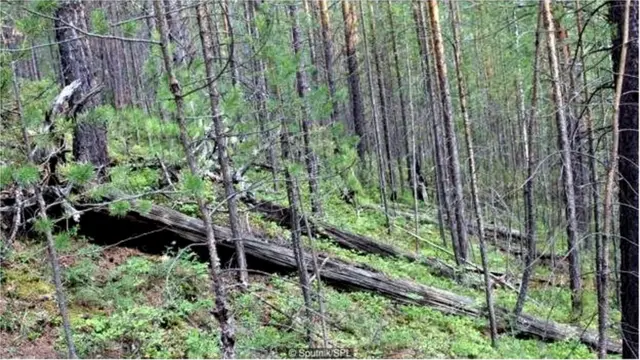 सैबेरियात झालेला 'तो' गूढ स्फोट