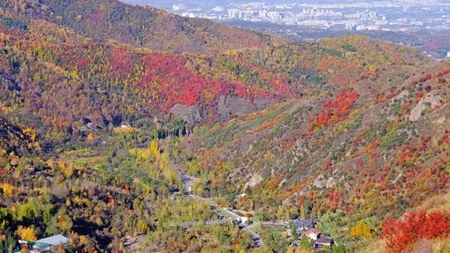 apel, punah, apel merah