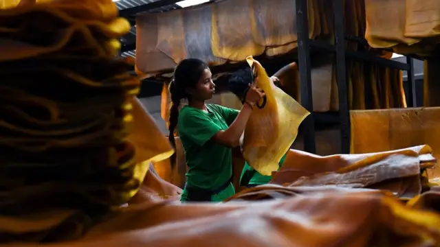 Production de caoutchouc.