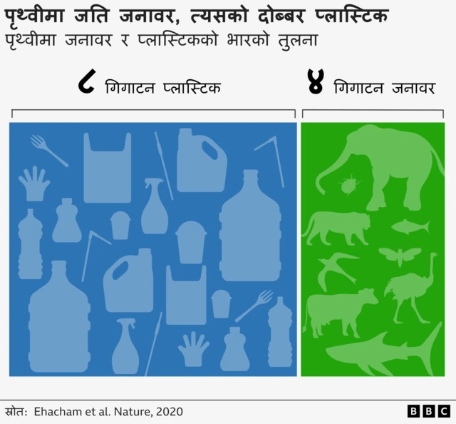 प्लास्टिक उत्पादन दर्शाउने ग्राफिक चित्र