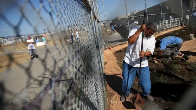 A California State Prison-Solano inmate uses a hand tool to pack decomposed granite while installing a drought-tolerant garden in the prison yard on October 19, 2015 in Vacaville, California.