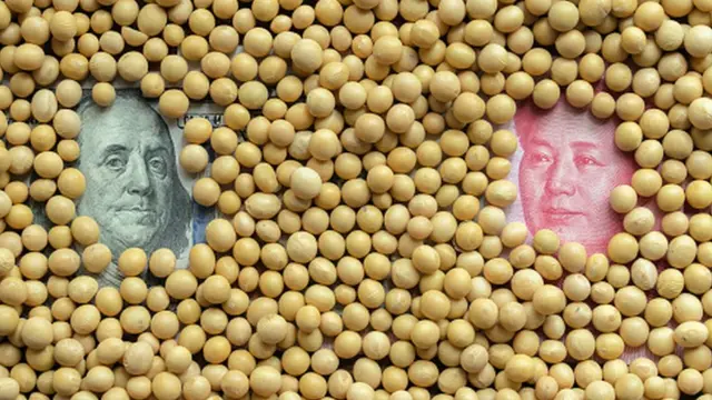 પ્રતિકાત્મક તસવીર