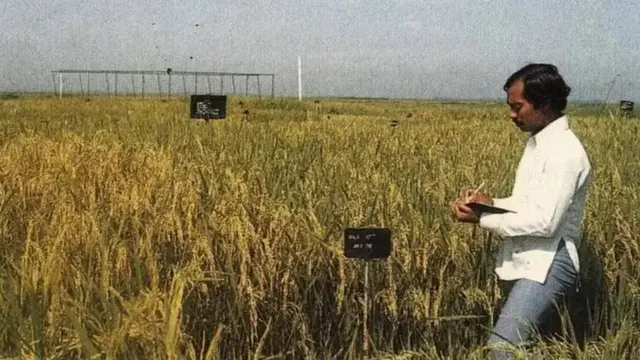 शास्त्रज्ञ एम. ए. सलाम तरुणपणी हबीबगंजमधील एका प्रदर्शनात शेतीची माहिती घेताना