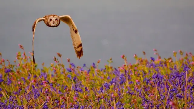 फोटोग्राफ़ी