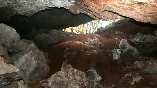 Ọgba ebe 'gypsum' jupụtara