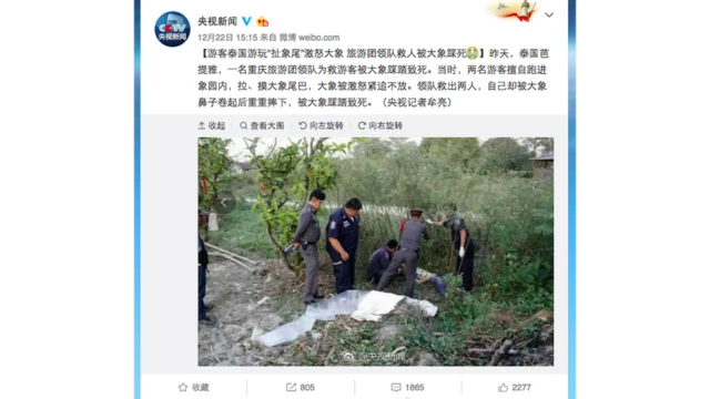 央视新闻官方微博22日称有游客扯大象尾巴