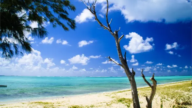 રૉડ્રિગ્સ ટાપુ