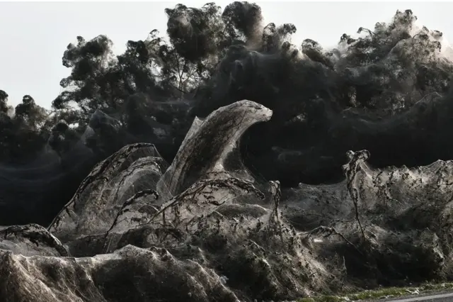 ایک ہزار میٹر لمبا مکڑی کے جال نے شمالی یونان میں وستونایدا جھیل کے ساتھ واقع سڑک پر قبضہ کر رکھا ہے۔