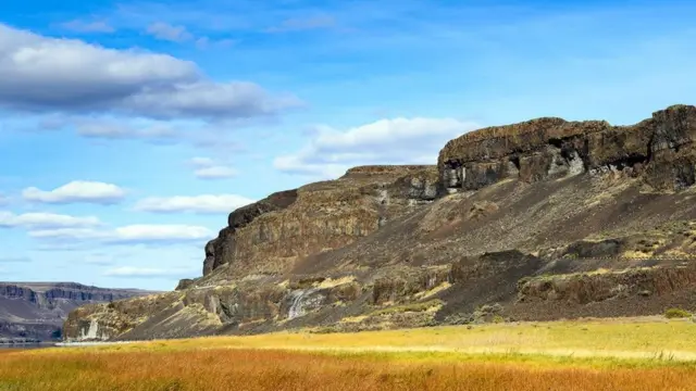 （圖片來源：Zack Frank）