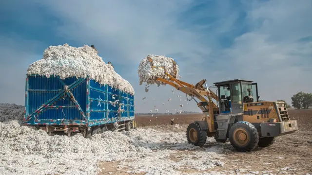 plastik, dunia tanpa plastik, sampah plastik, pengganti plastik