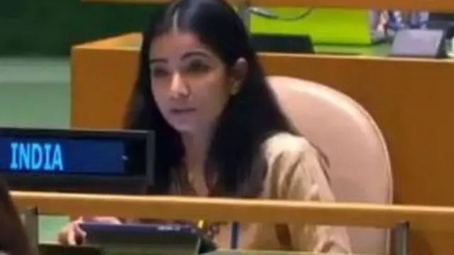 स्नेहा दुबे, संयुक्त राष्ट्र परिषद, भारत, पाकिस्तान