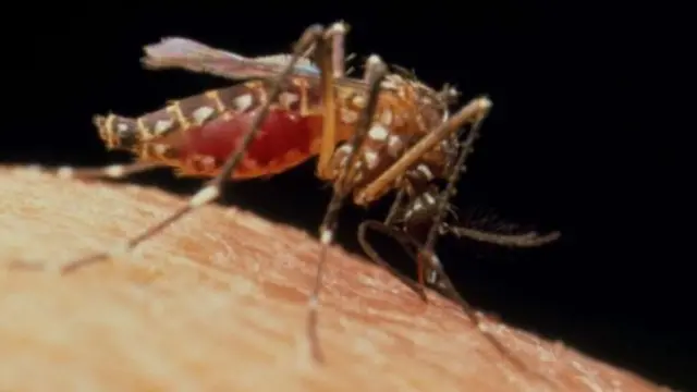 Cutar Malaria ta fi kashe kananan yara a kasashe maso tasowa