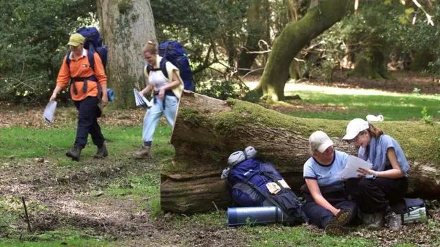 Award entrants exploring the New Forest