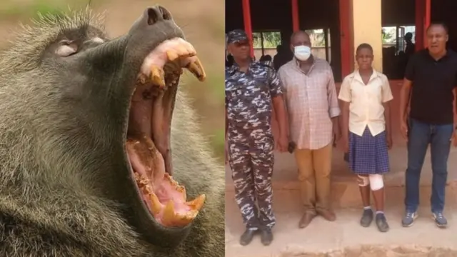 Nwata akwụkwọ enwe tara