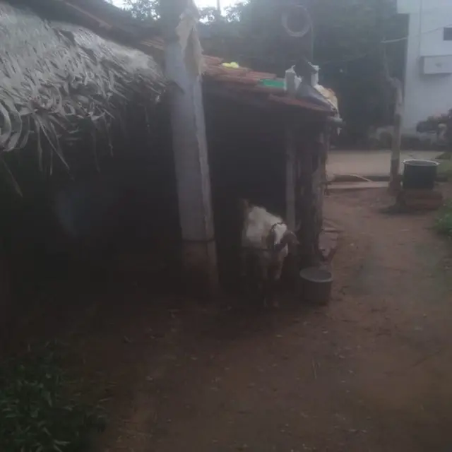 சாலை, சாக்கடை, தெருவிளக்கு, பொது கழிவறை தனது முதல் முன்னுரிமை என்கிறார் சரண்யா