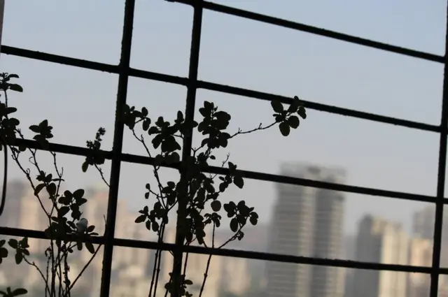 तुलसी और गु़लाब