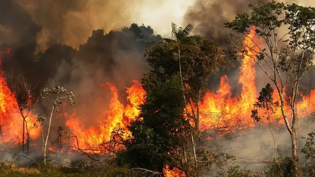 அமேசான் காட்டுத்தீ: என்ன நடக்கிறது அங்கே? நாம் ஏன் கவலைக் கொள்ள வேண்டும்?