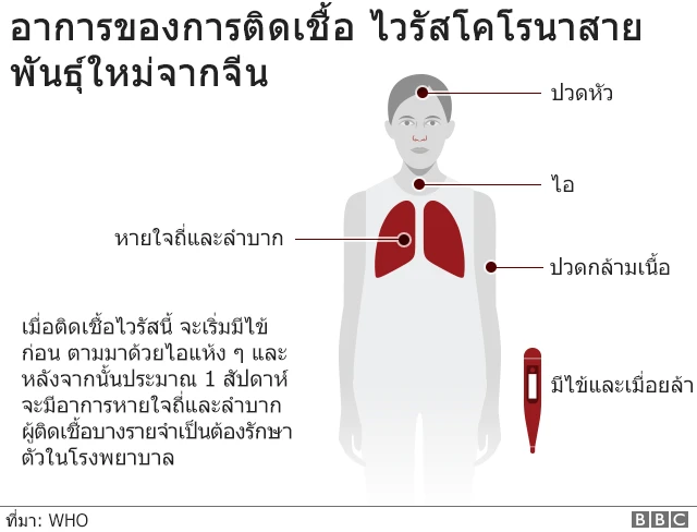 กราฟิก