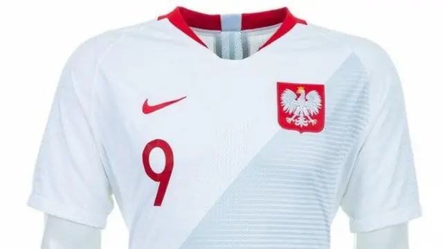 پیراهن تیم لهستان