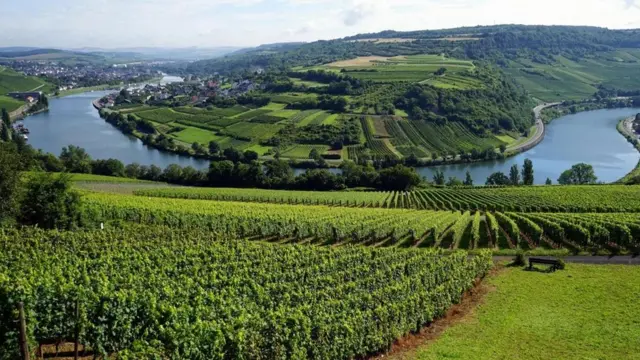 تقع شينغن بوادي موزيل في لوكسمبورغ حيث زراعة الكروم التي تشتهر بها البلاد