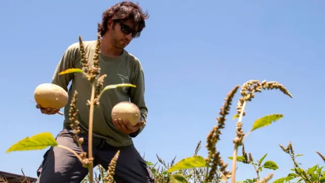 ઇઝરાયલના ખેડૂતની પ્રતિકાત્મક તસવીર