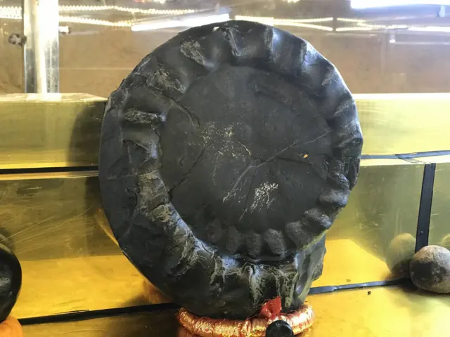 शालिग्राम