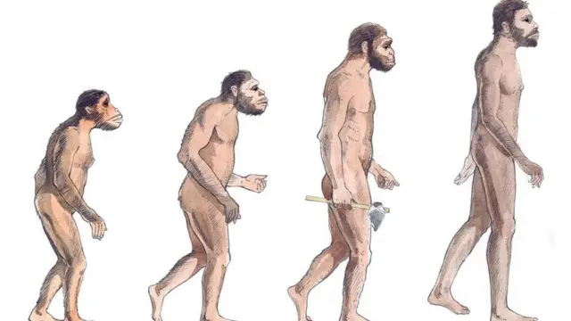 Еволюція людини