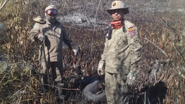 Bombeirosslot kongárea tomada pelo fogo junto com sucuri carbonizada