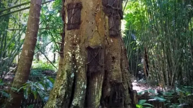 મૃત્યું