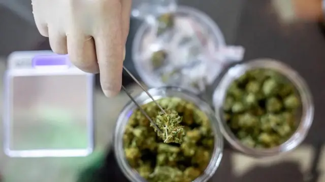 은행 출납계 창구에서 일했던 애드리언은 코로나19 팬데믹 초기 해고된 후 친구의 도움을 받아 의료용 대마초가 합법인 고향 메인주 내 대마초 판매점에서 일하게 됐다