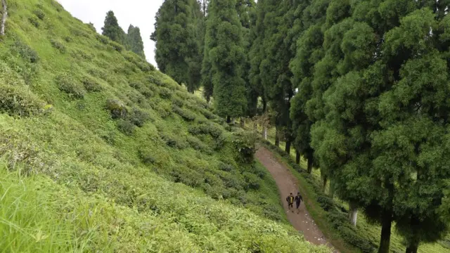 বাংলাদেশ ভারত পর্যটন