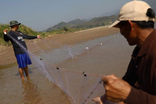 泰国渔民在位于泰国最北部地区的湄公河撒网捕鱼。