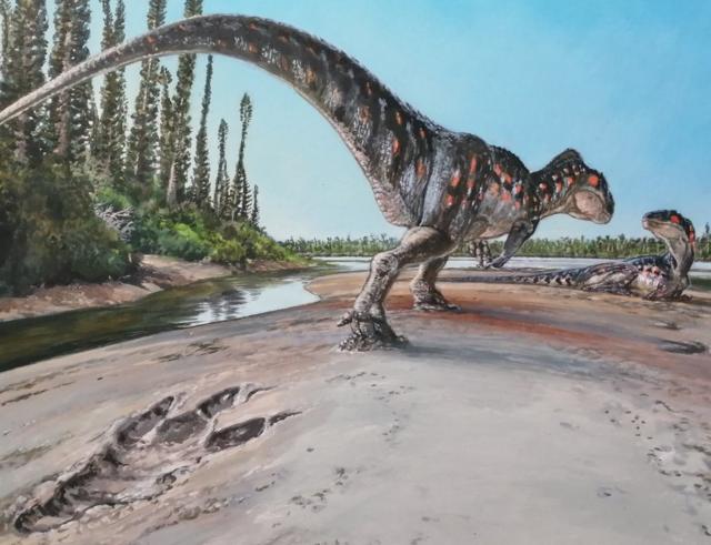 Largest ever Yorkshire dinosaur print 'left by lazing giant,' researchers say - BBC News