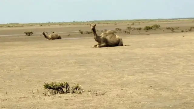 کراچی کے جزائر