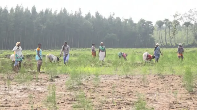 షెడ్యూల్డ్ ఏరియాలలో భూముల మీద గిరిజన గ్రామాసభలకే అధికారం ఉంటుంది.