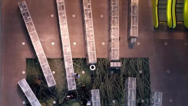 西雅圖公共圖書館