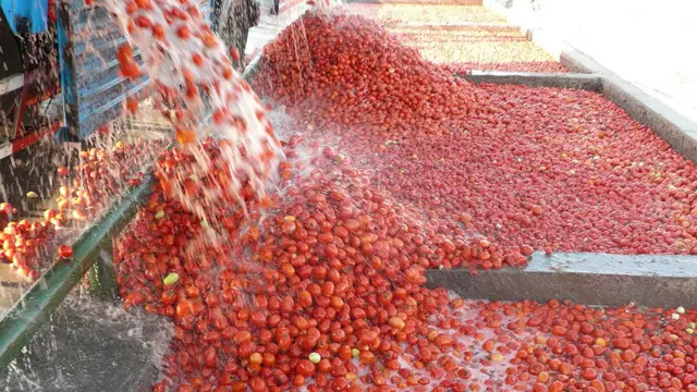 بنابر اعلام مرکز آمار قیمت رب گوجه فرنگی در آذر ماه امسال نسبت به پارسال ۲.۵ برابر شده است