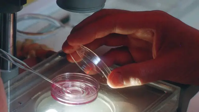 Doctor fecundando óvulo.