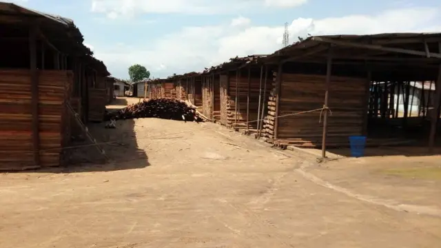 Ahịa ọgbọ osisi