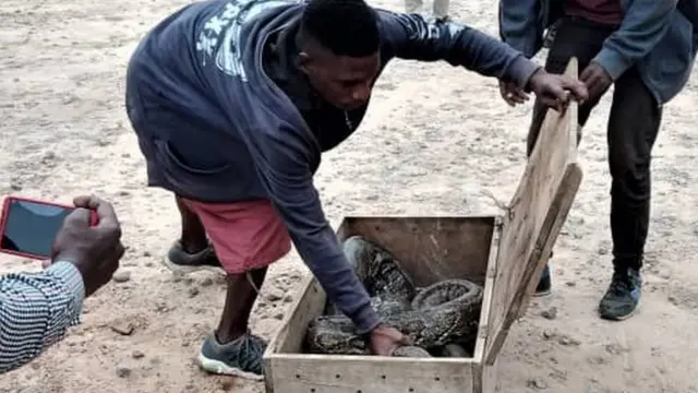 Chatu anayeaminiwa kuleta baraka kwa watu