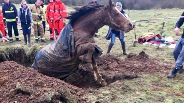 Firefighters rescue horse from Buckinghamshire sinkhole