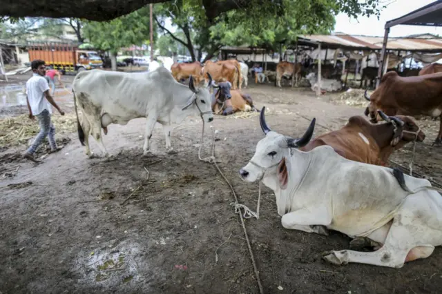 गुरांचा बाजार