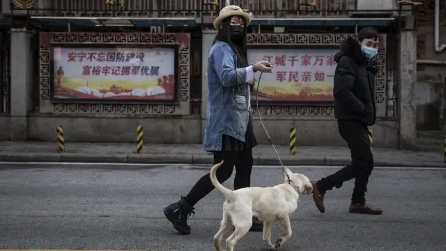 Çin'de köpek gezdiren bir kadın
