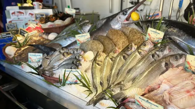 Ulov Erika Rinaldija