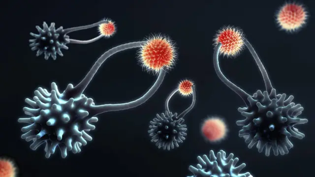 કોરોના વાઇરસ