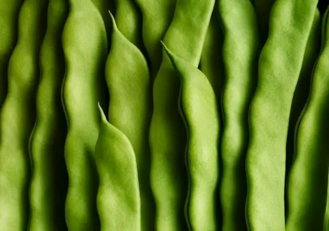 हरी सेम की तस्वीर