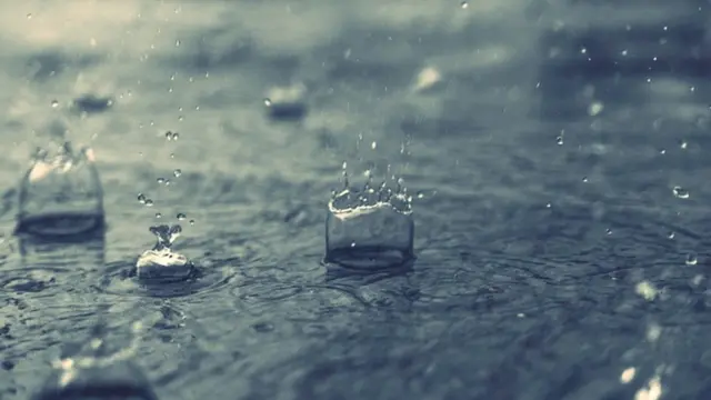 पाऊस, निसर्ग, पर्यावरण