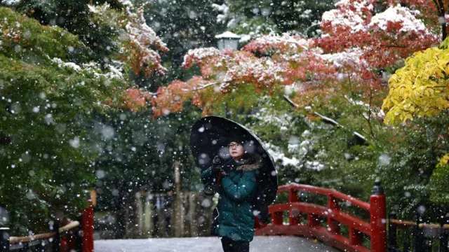 Снегопад в Токио