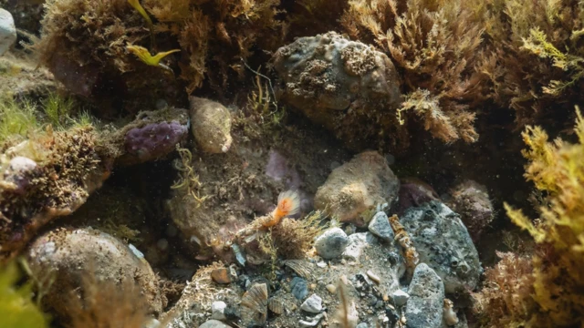 Подводная съемка